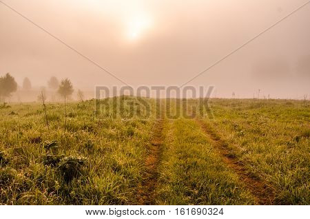 thick morning fog in the summer forest. thick morning fog in the forest at pond. Morning landscape in summer thick fog. dense fog in the morning.  early morning. forest hiding in the fog. forest path