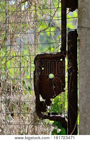 Rusted castle near an old garden door close-up