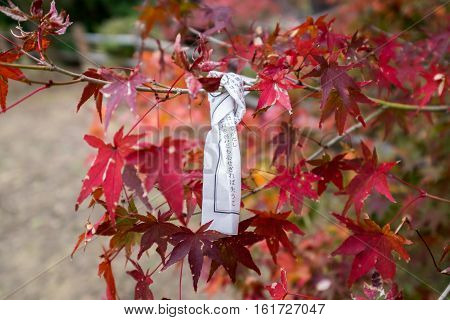A japanese bad luck note tied to a tree in autumn