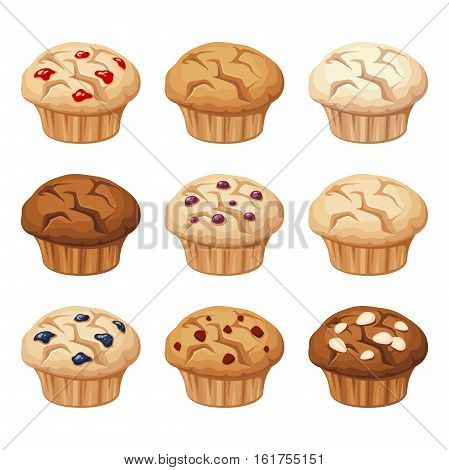 Vector set of various muffins with blueberry, almond, chocolate isolated on a white background.