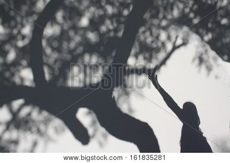 the girl plays with the shade of a tree in autumn in a Park