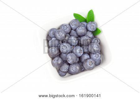 Greatbilberry isolated on a white background cutout
