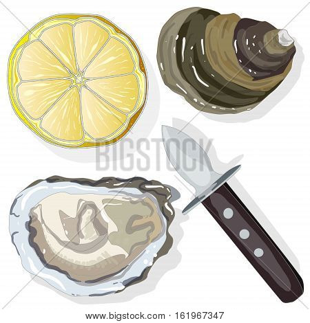 Shucked Oysters with lemon on whight background