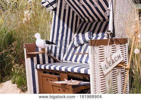 Blue white single beach basket between reeds