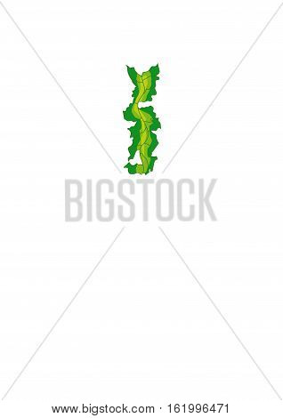 Bright green  algae on a white background