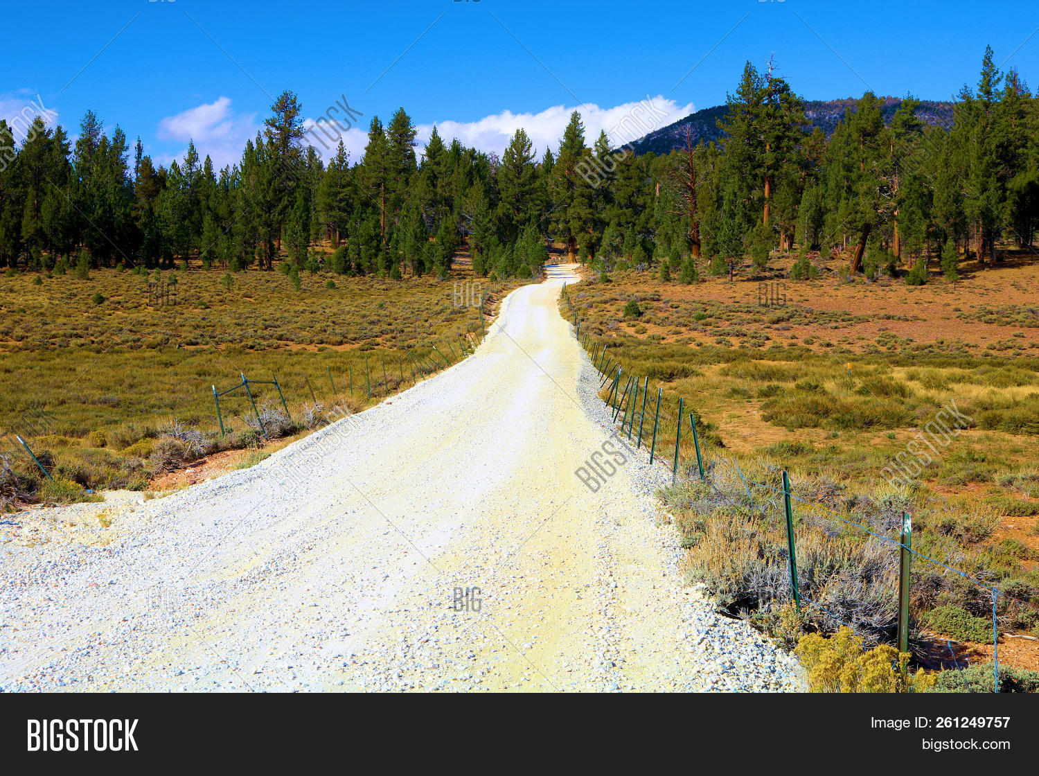 Rustic Dirt Road Thru Image & Photo (Free Trial) | Bigstock