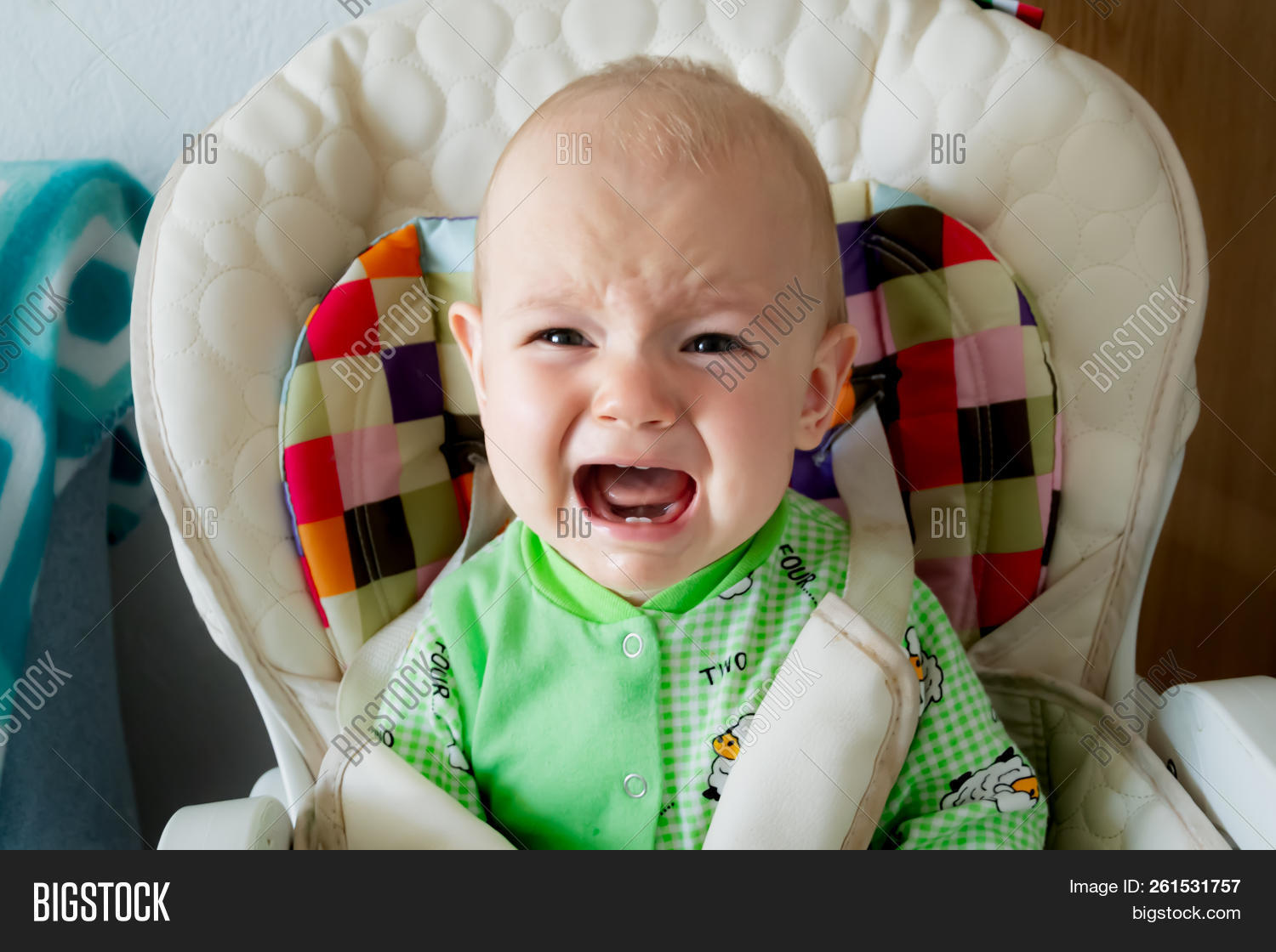 One Year Old Baby Image & Photo (Free Trial) Bigstock