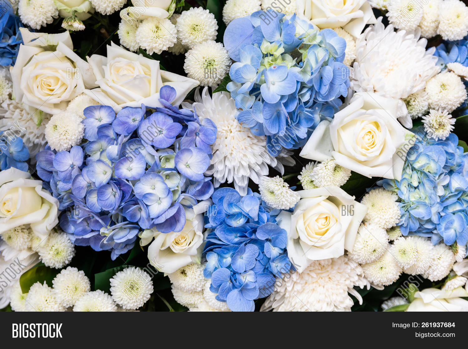 Group Colorful Flower Image & Photo (Free Trial) Bigstock
