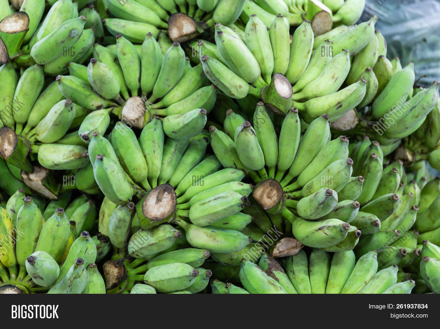 Bunch Bananas Image & Photo (Free Trial) Bigstock