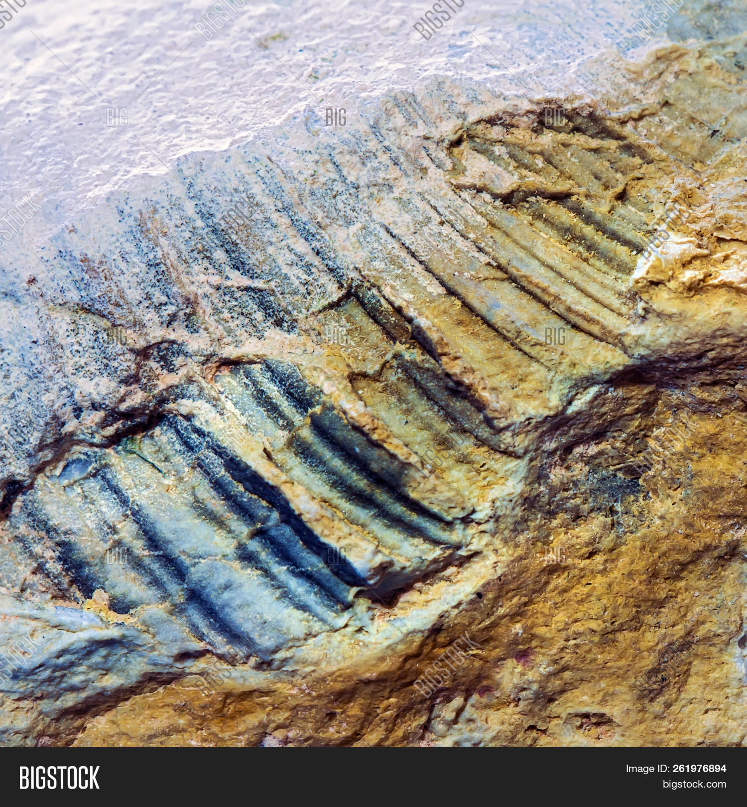 Ледниковый период оледенение. Центр древнего оледенения евразии. Возраст моря около 12 тысяч лет. 100 тыс лет назад ледниковый период. Ледниковый период на земле.