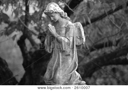Grey Angel