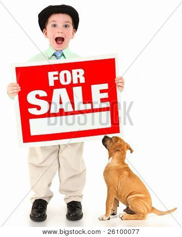 3 Ano de idade adorável american boy e boxer com vermelho e branco para o sinal de venda.  Menino gritar sobre w