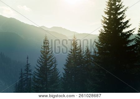 A Dreamy, Hazy Landscape Of A Mountains Close To Sunset. Sun Flase And Misty Look In Blue Tones. Mo