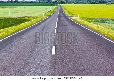 Road With Bright Colorful Green Fields Background
