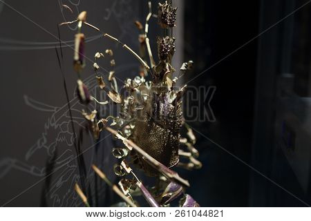 Lobster Shell Dismantled Into Pieces Crustacean Marine Life.