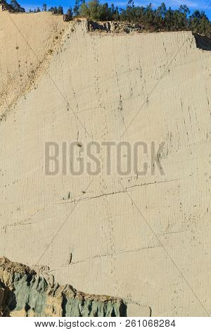Cal Orcko Paleontological Site,bolivia. Dinosaurs Fossils Footprints