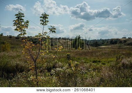 Summer Landscape With Fields, Meadows And Cloudy Sky