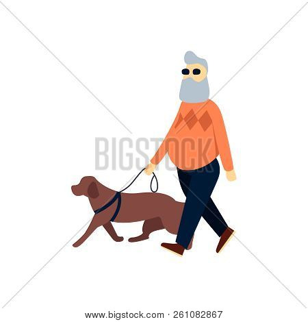 Blind Senior With Guide Dog. Old Man Impaired Vision. Elderly Person With Blindness On Walk.