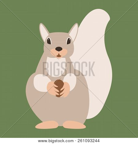 Squirrel  With Nut  Vector Illustration Flat Style Front Side