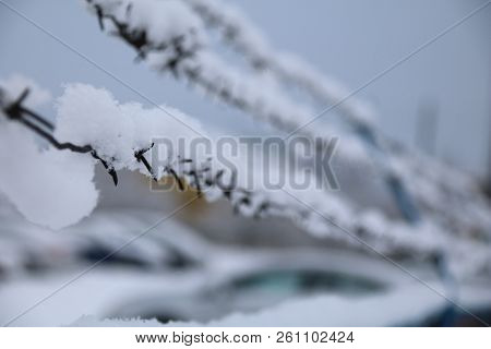 Barbed Wire Fence On Winter Time Backgruond White Snow