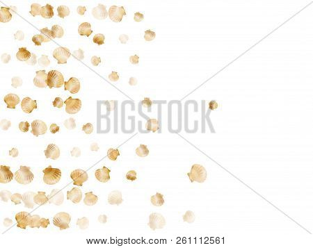 Gold Seashells Vector, Golden Pearl Bivalved Mollusks. Sea Scallop, Bivalve Pearl Shell, Marine Moll