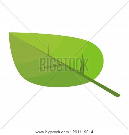 Poplar Tree Leaf Icon. Isometric Of Poplar Tree Leaf Vector Icon For Web Design Isolated On White Ba