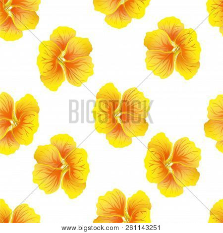 Seamless Floral Pattern With Nasturtium. Brighr Yellow Hibiscus Flowers On White Background. Botanic