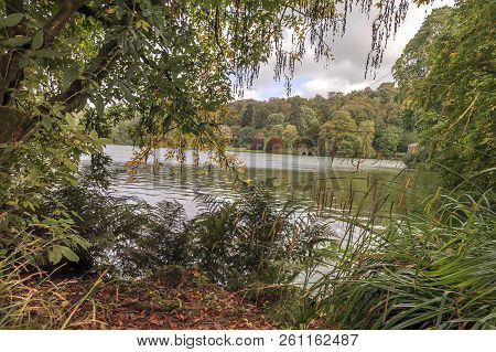 Autumn In The Park, Vibrant Colour, Beautiful Wiev.