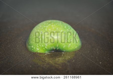 Green Apple In The Sand On The Beach