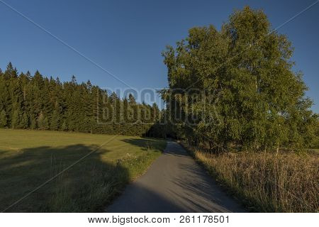 Meadows And Forest In Sumava National Park In South Of Bohemia