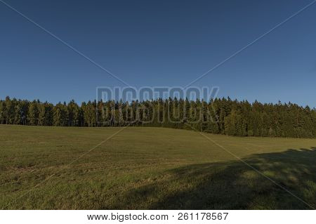Meadows And Forest In Sumava National Park In South Of Bohemia