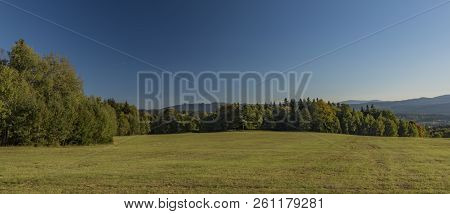 Meadows And Forest In Sumava National Park In South Of Bohemia