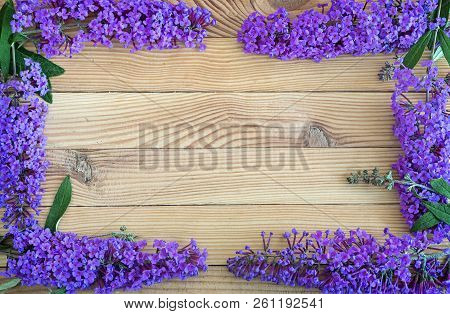 Beautiful Buddleia Shrub Flowers On Wooden Background.