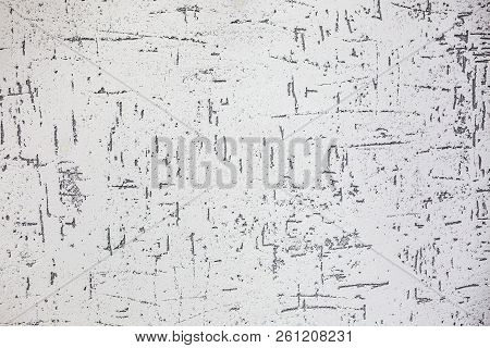 Gray Decorative Bark Beetle Bug Plaster Texture With Imitation Of Trunk With Trace For Modern Loft I