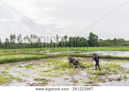 Plows Machine - Farmer Using Walking Tractor Plowing In Rice Field To Prepare The Area To Grow Rice.