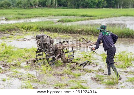 Plows Machine - Farmer Using Walking Tractor Plowing In Rice Field To Prepare The Area To Grow Rice.