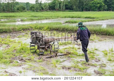 Plows Machine - Farmer Using Walking Tractor Plowing In Rice Field To Prepare The Area To Grow Rice.