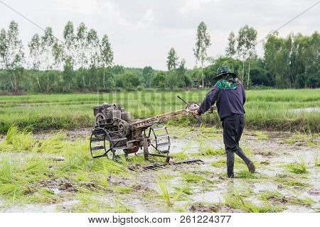 Plows Machine - Farmer Using Walking Tractor Plowing In Rice Field To Prepare The Area To Grow Rice.