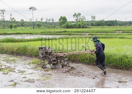 Plows Machine - Farmer Using Walking Tractor Plowing In Rice Field To Prepare The Area To Grow Rice.