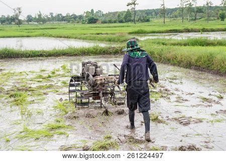 Plows Machine - Farmer Using Walking Tractor Plowing In Rice Field To Prepare The Area To Grow Rice.