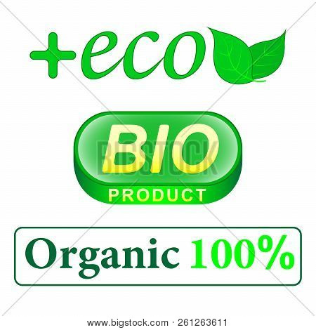 Eco, Bio Product, Organic 100 Precent Lettering. Green Leaf. Vector Ilustration