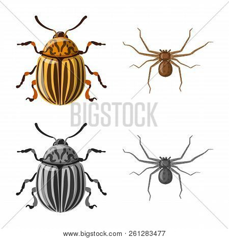 Vector Illustration Of Insect And Fly Icon. Collection Of Insect And Element Vector Icon For Stock.