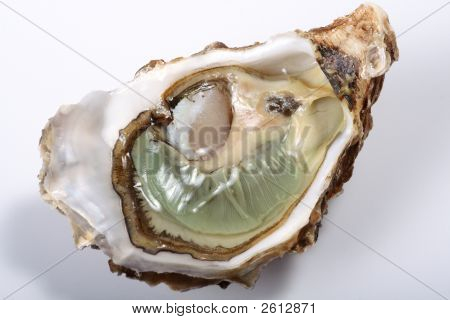 Fresh Oyster