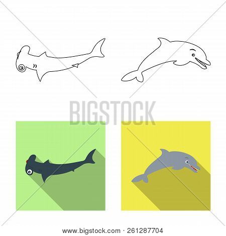 Isolated Object Of Sea And Animal Logo. Collection Of Sea And Marine Stock Vector Illustration.