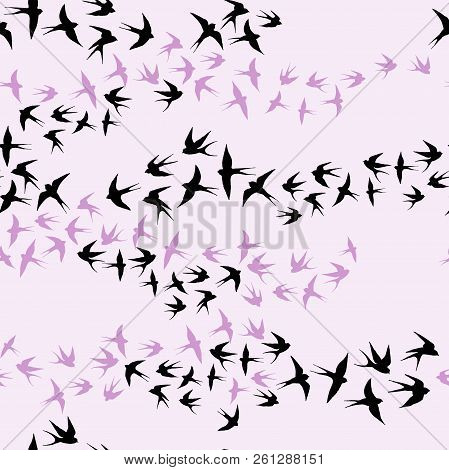 Swallow. Fly Bird In Sky Seamless Pattern