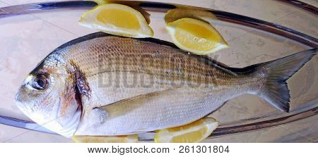 Fresh Golden Fish For Roasting And Cooking