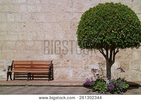 Wooden Bench And A Rounded Tree Against Sillar Stone Wall, Arequipa, Peru, South America