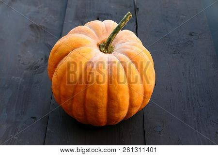 Moschata Pumpkin Muscat De Caraibes Variety On Black Wooden Background