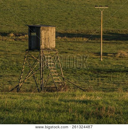 Tree Stand On Sunset Meadow Near Zbytiny Village In Autumn Evening