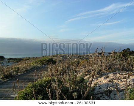 Stezka na Asilomar stát Park, Pacific Grove/Monterey, Kalifornie